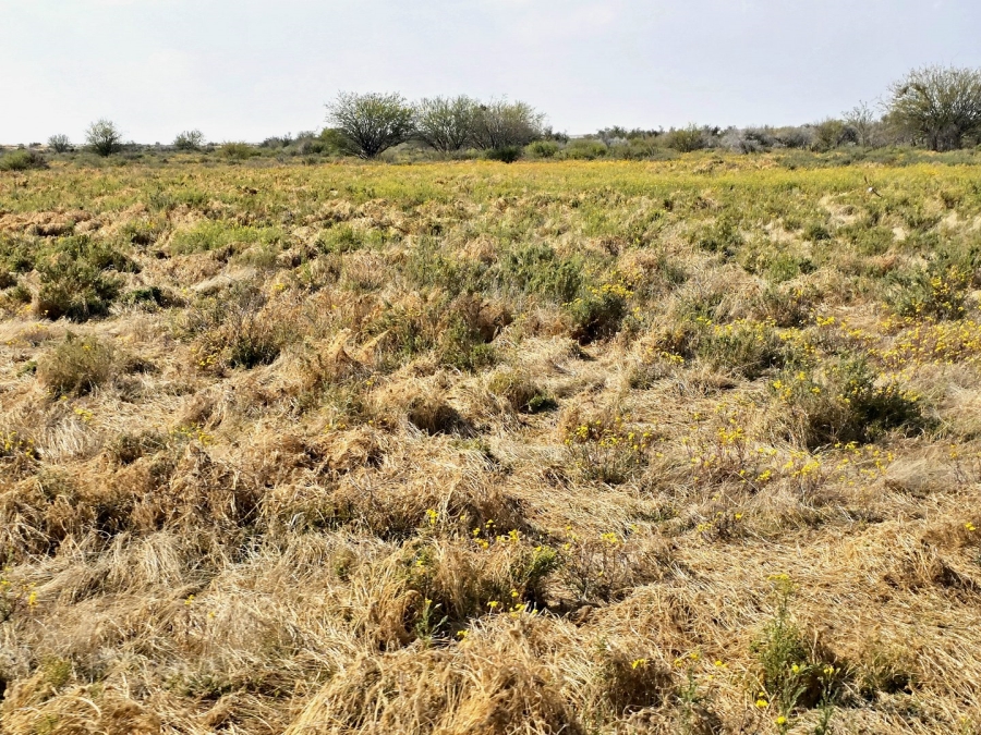 Commercial Property for Sale in Kenhardt Northern Cape